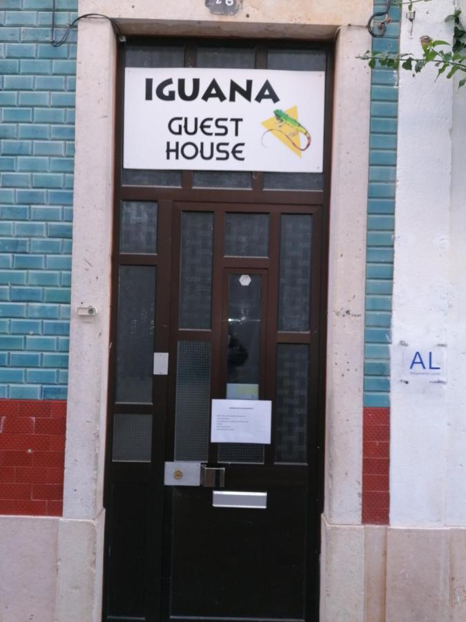 Iguana Lagos